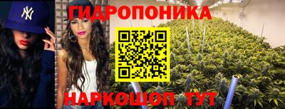 Альфа ПВП Обнинск